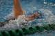   » Click to zoom ->