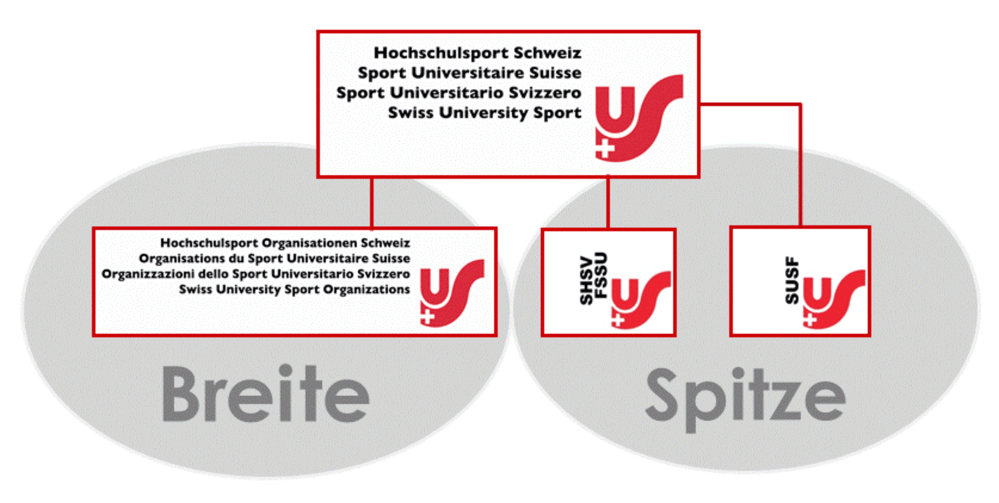 Roles & Responsibilities within Swiss University Sport