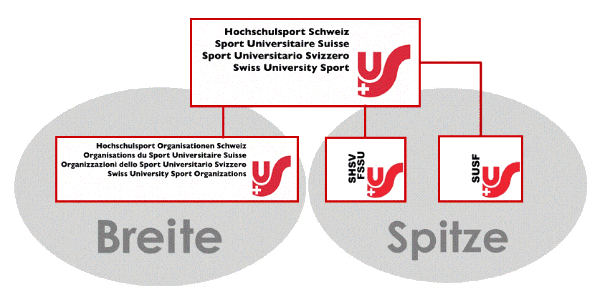 Organisation SHSV