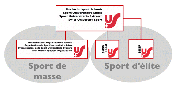 Organisation SHSV